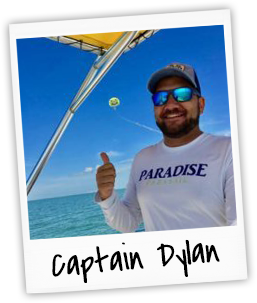 Captain Dylan